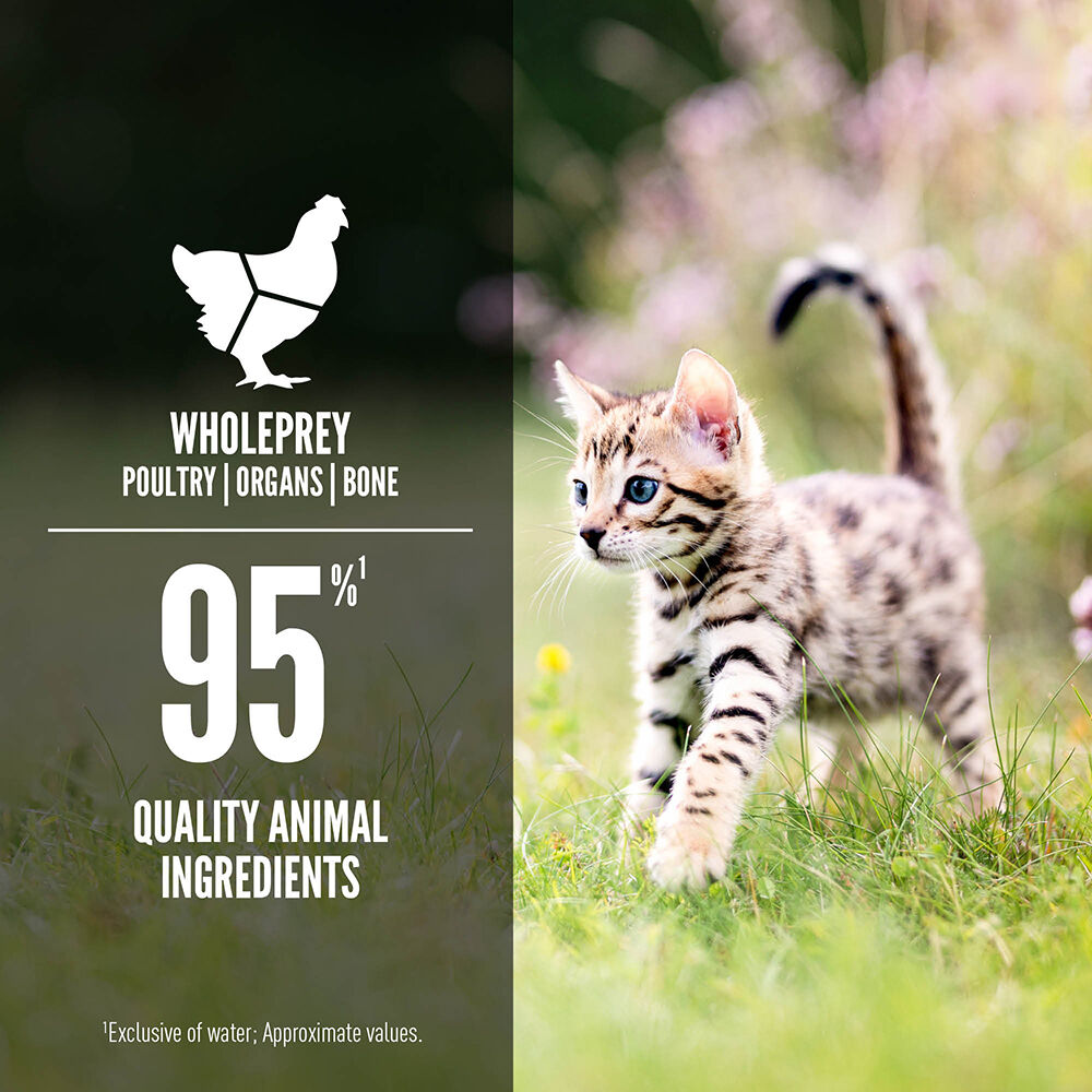 Orijen cat & kitten 17 kg outlet